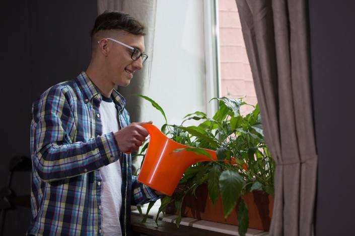 house sitter watering indoor plants with an orange watering can next to a window